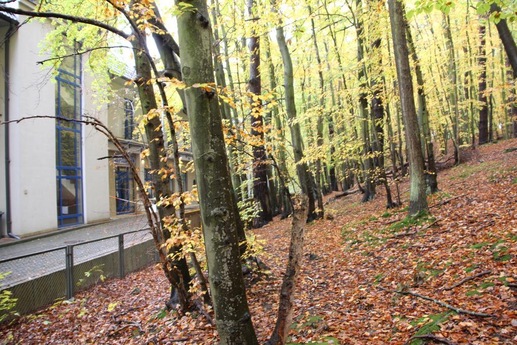 Hotel Lesny Sopot Kültér fotó